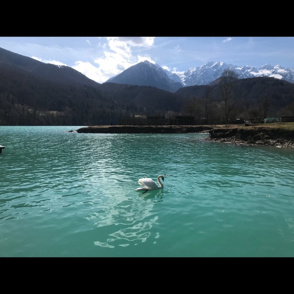 Meet your Posher, Veronica - Picture 1 of 1